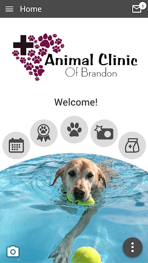 Animal Clinic of Brandon Screenshot 0