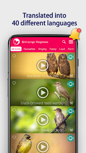 Bird Songs: Ringtones Screenshot 3