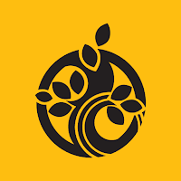 Cassia Sokcho