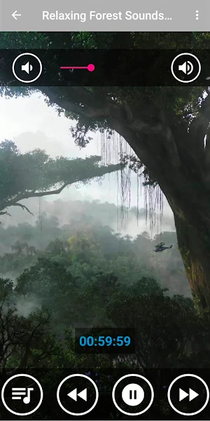 Rain Forest & Bird Sounds Screenshot 3