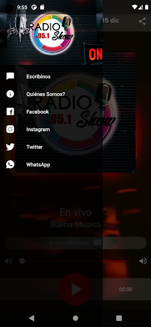 Radio Show Argentina 95.1 Fm Screenshot 1