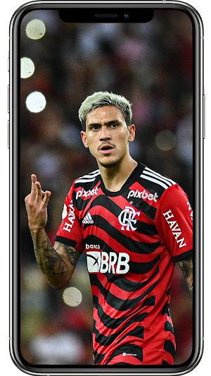 Pedro Flamengo Wallpapers Screenshot 1