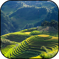 Vietnam wallpapers