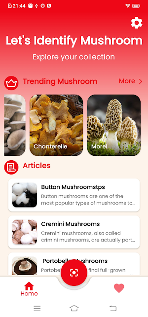 Mushroom identifier Screenshot 2