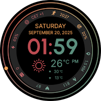 CELEST5590 Data Hub Watch