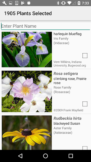 New York Wildflowers Screenshot 2