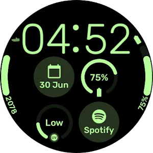 InfoGrid - Wear OS Watchface Screenshot 0