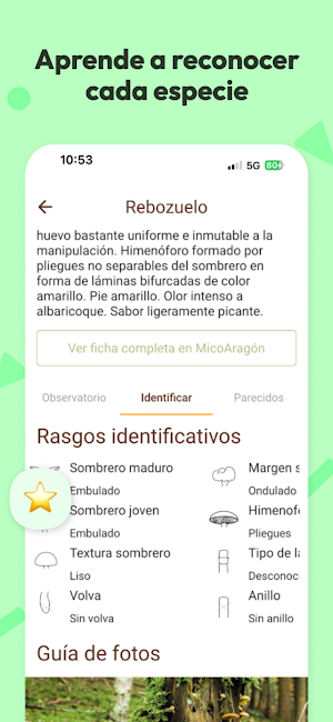 Mycotour-Aragón Screenshot 2