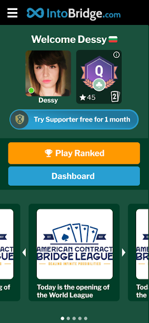 IntoBridge Screenshot 0