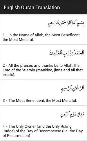 Quran Translation Screenshot 3
