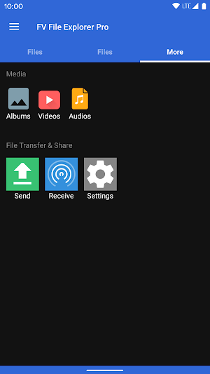 FV File Pro Screenshot 3