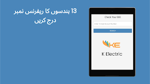 Electricity Bill Checker Screenshot 2