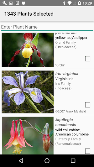 Wisconsin Wildflowers Screenshot 2