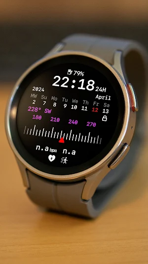 nbWatch: Compass X Screenshot 0