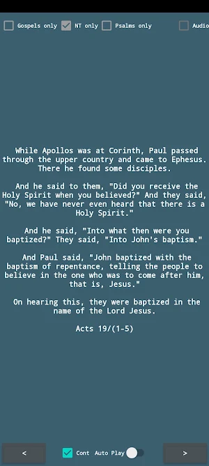 RSV Bible Verses Screenshot 2