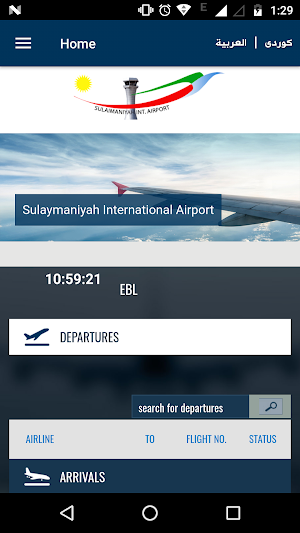 Sul. International Airport Screenshot 0