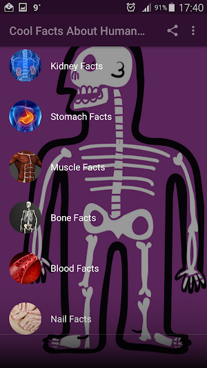 Cool Facts About Human Body Screenshot 1