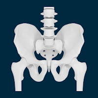 Anasalva X-Rays