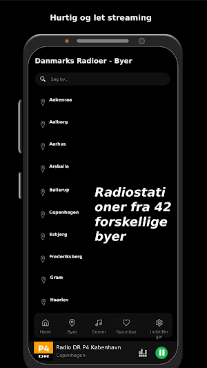 Danmarks Radioer Screenshot 1