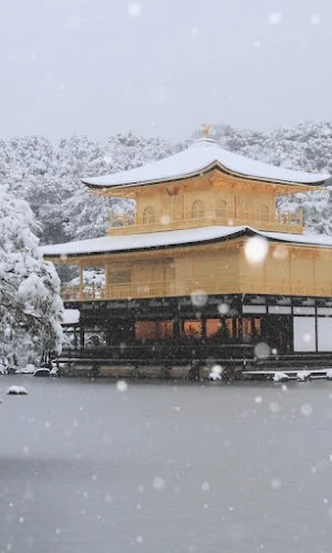 Beautiful Snowfall Wallpapers Screenshot 2