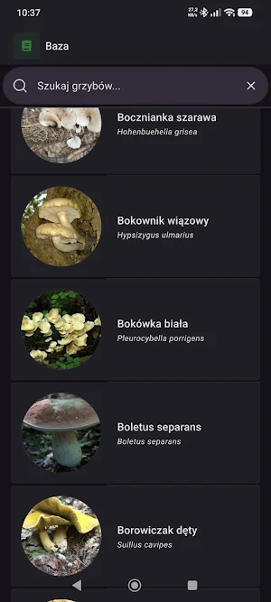 Atlas grzybów offline Screenshot 2