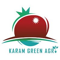 KGA SURVIELLANCE