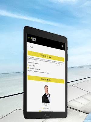 Småland Airport Screenshot 3