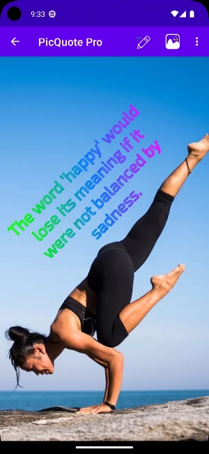 PicQuote Pro Screenshot 3