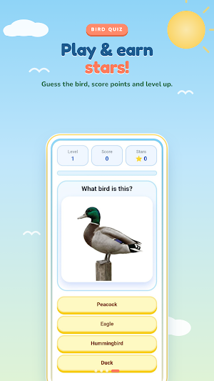 Bird Quiz Offline Screenshot 3