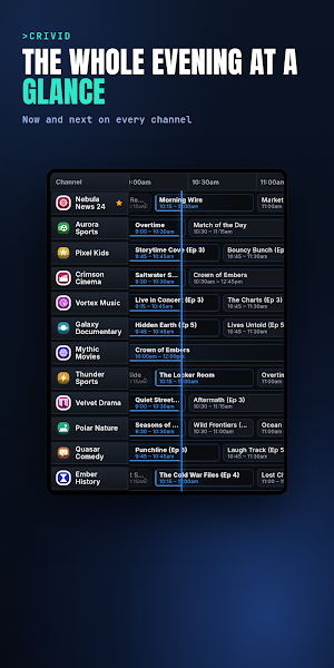 Crivid IPTV Player Screenshot 1