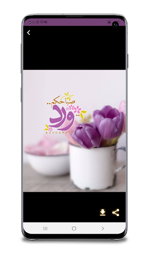 أجمل صور صباح الخير مساء الخير Screenshot 3