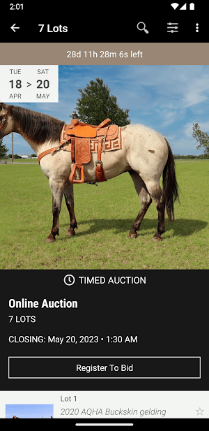 Southwest Horse Sale Company Screenshot 1
