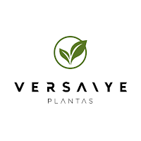 VERSAIYE