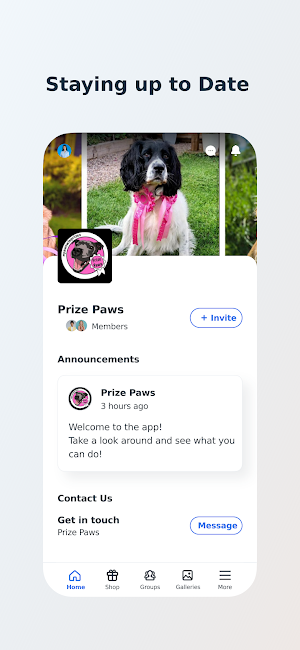 Prize Paws Screenshot 2
