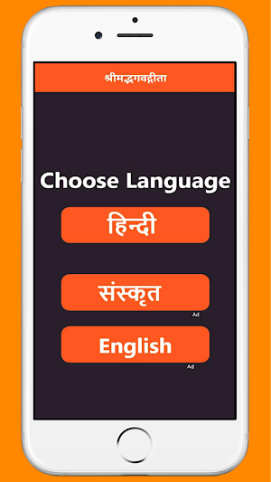 Bhagavad Gita in Hindi Audio Screenshot 1