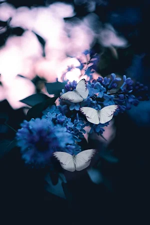 Wallpaper Kupu Kupu Screenshot 1