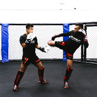 Shogun Fight Gym
