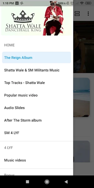 Shatta Wale Music Screenshot 0