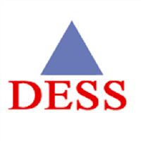 Dess Digital Meetings