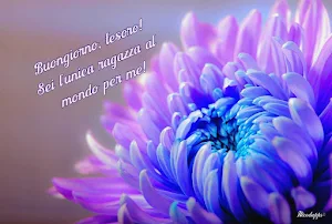 Buongiorno amore mio Screenshot 3