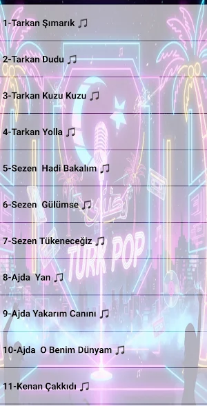 Türk Pop Şarkıları İnternetsiz Screenshot 2