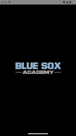 Blue Sox Academy Screenshot 0