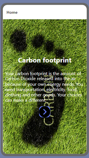 Carbon footprint by Đỗ Ngọc Tú Screenshot 0