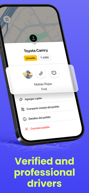 Chile Cargo Transport - FRET Screenshot 3