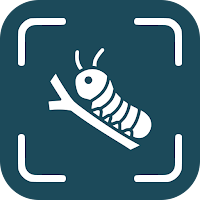 Caterpillar Identifier