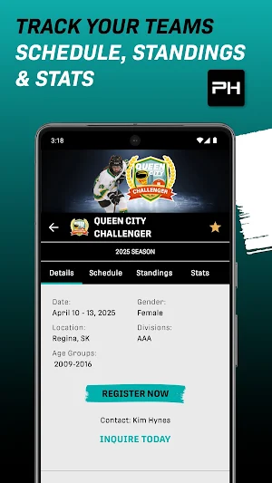 Play Hockey Screenshot 0