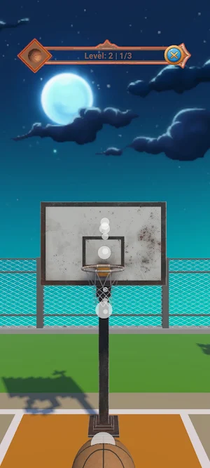 Basketbol Oyunu Hoop Master 3D Screenshot 1
