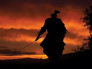 Samurai Wallpapers Screenshot 0