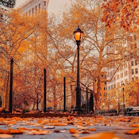 Autumn Scenery Wallpaper