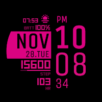 IWF DL1 watch face